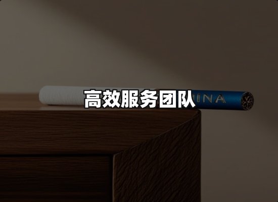 专业优势
